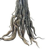 Thumb img ce8f73b719