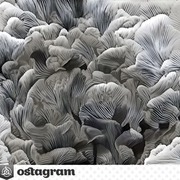 Thumb img 3923b8c5d6