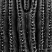 Thumb img e33ca67e3e