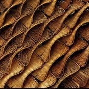 Thumb img 1789f48209