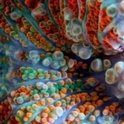 Thumb img 2fa5e78bc7