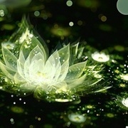 Thumb img 62503f6c09