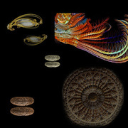 Thumb img c56273f715