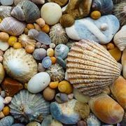 Thumb img c93c5c7121