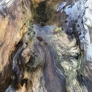 Thumb img 5a2cf30e89