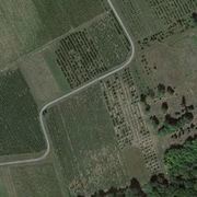 Thumb img 46b5137688