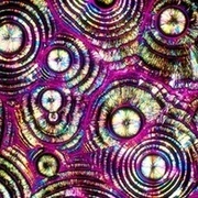 Thumb img 2b7643aad0