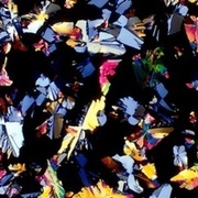 Thumb img 2a6d523a97